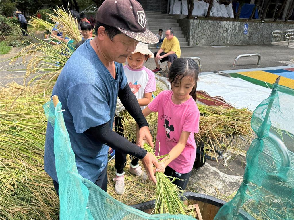 教育園丁的話圖片1.古法打穀，清脆的打穀聲猶如學習的鼓點
