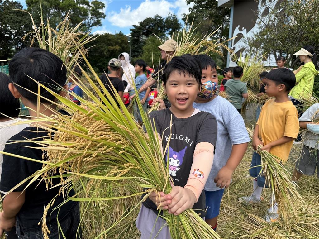 教育園丁的話圖片3.孩子們親手曬穀、挑選種子，並將珍貴的稻穀收入「種子銀行」