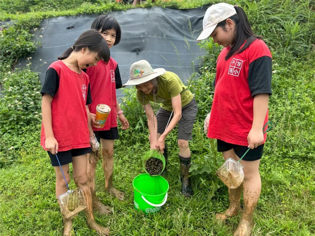 教育園丁的話圖片5.螺力士_田園守護隊親手撿拾福壽螺，守護田園，尊重生命