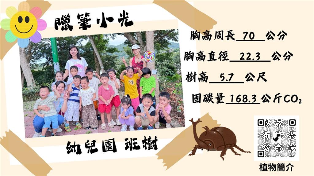 教育園丁的話圖片6.幼兒園也加入校園碳匯地圖行動，選光臘樹作為班樹命名為_蠟筆小光！