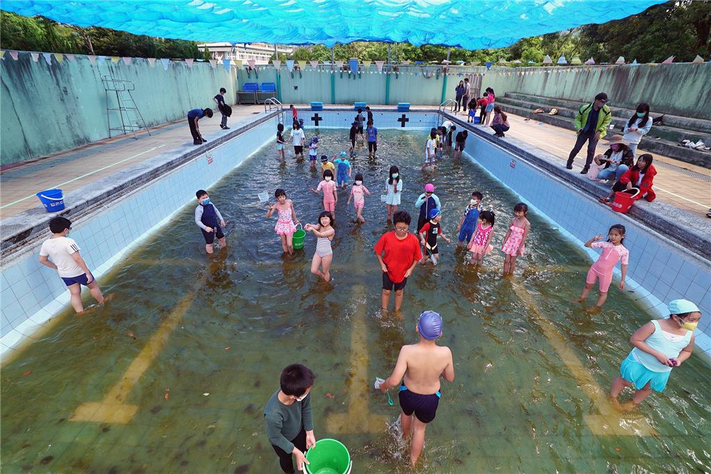 教育園丁的話圖片11.蝌學泳池啟用前，全校師生一起搶救蝌蚪和青蛙後，再刷洗泳池