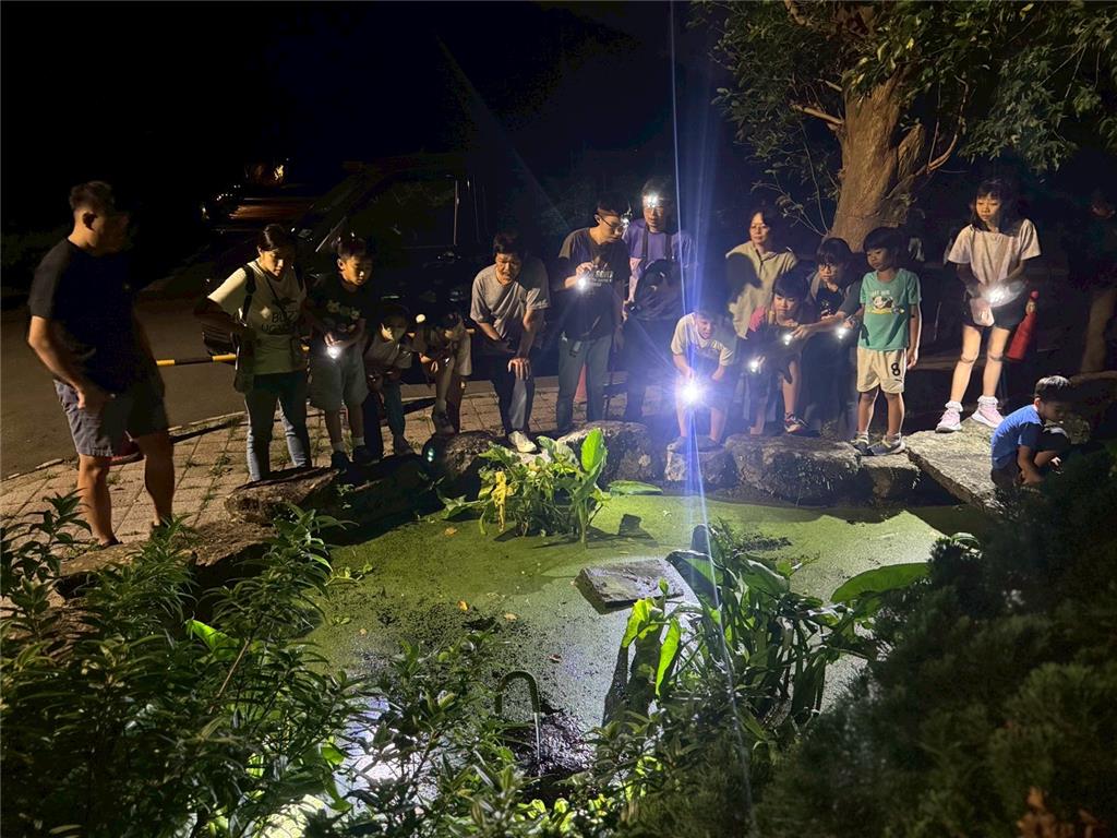 教育園丁的話圖片14.夜觀活動_拜訪夜間活動的動物好朋友