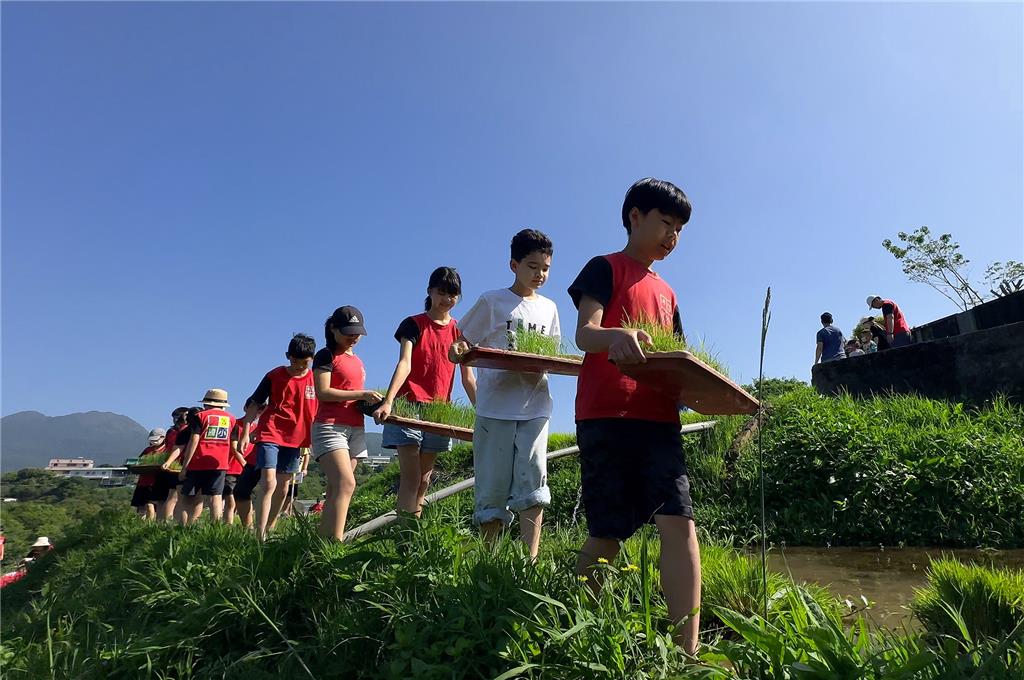 教育園丁的話圖片平等國小學生將自己育的稻苗帶至社區鵝尾山水梯田種植