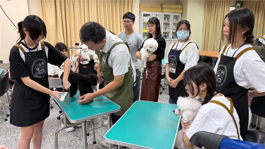 教育園丁的話圖片寵物美容證照輔導